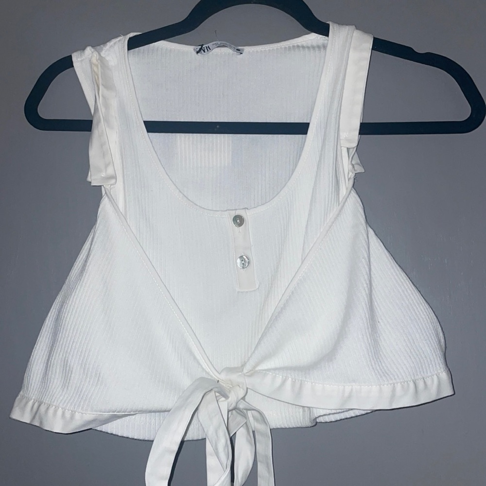Zara crop top